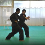 Pencak Silat - Tempur Seni - Audran et Mahéry