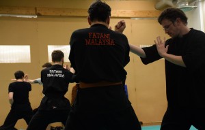 Pencak Silat - Tempur niveau 1