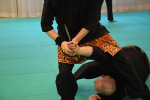 Stage de Pencak Silat traditionnel - Technique Audran et Jérôme