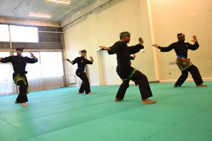 Bunga - Team Démo Culture Silat - Maison du Taiji 2015