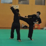 Pencak SIlat - Esquive d'un side kick