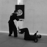 Pencak Silat - Projection au sol