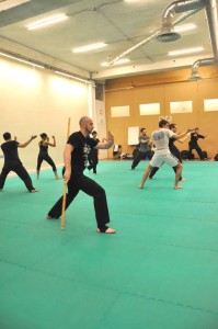 Cours de Pencak Silat - Seni Gayung Fatani - Travail par niveaux