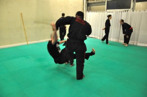 Cours de Pencak Silat - Seni Gayung Fatani - Balayage