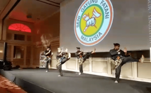 Demo Silat Seni Gayung Fatani - Malaysian Club Deutschland - 2017 (2)