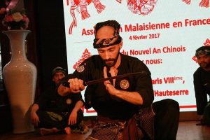 Démonstration Silat PSGFM - MASAF 2017 (15)