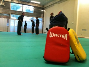 Penchak Silat - Exercices de coups de pieds