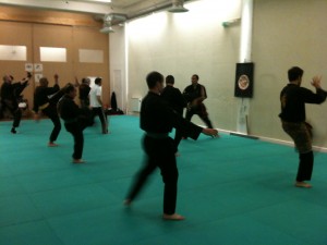 Reprise des cours de penchak silat maitre raban - Seni gayung fatani paris