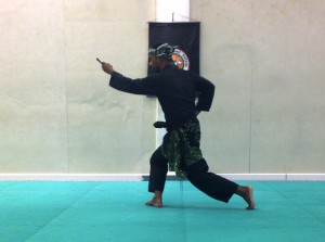 Pencak Silat - Mahéry pendant son Bunga Keris