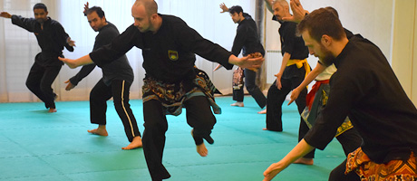 Nos stages de Pencak Silat en France