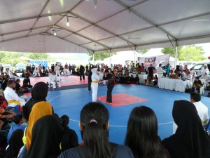 Silat Fatani - Olahraga 2015 (11)