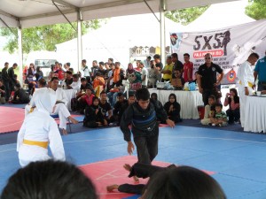 Silat Fatani - Olahraga 2015 (12)