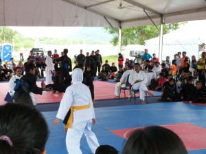 Silat Fatani - Olahraga 2015 (16)