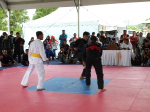 Silat Fatani - Olahraga 2015 (17)