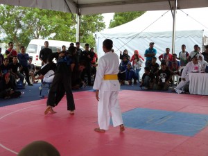 Silat Fatani - Olahraga 2015 (18)