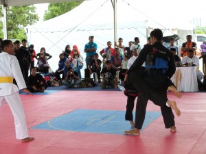 Silat Fatani - Olahraga 2015 (21)