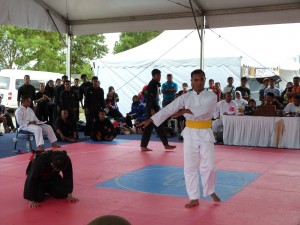 Silat Fatani - Olahraga 2015 (22)