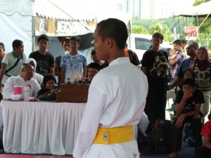 Silat Fatani - Olahraga 2015 (25)