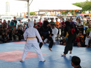 Silat Fatani - Olahraga 2015 (26)