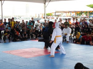 Silat Fatani - Olahraga 2015 (27)