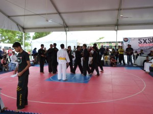 Silat Fatani - Olahraga 2015 (31)