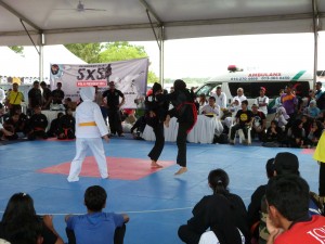 Silat Fatani - Olahraga 2015 (32)