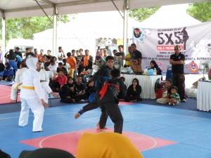 Silat Fatani - Olahraga 2015 (5)