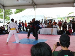 Silat Fatani - Olahraga 2015 (8)