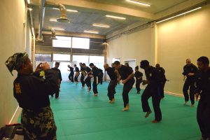 Stage Pencak Silat - Seni Gayung Fatani - 22012017 - Session n°1 (11)