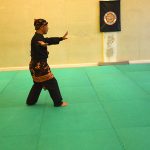 Stage Pencak Silat - Seni Gayung Fatani - 22012017 - Session n°1 (13)