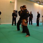 Stage Pencak Silat - Seni Gayung Fatani - 22012017 - Session n°1 (16)