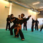 Stage Pencak Silat - Seni Gayung Fatani - 22012017 - Session n°1 (17)