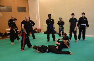 Stage Pencak Silat - Seni Gayung Fatani - 22012017 - Session n°1 (20)