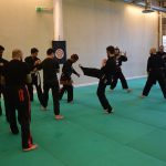 Stage Pencak Silat - Seni Gayung Fatani - 22012017 - Session n°1 (21)