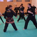 Stage Pencak Silat - Seni Gayung Fatani - 22012017 - Session n°1 (22)