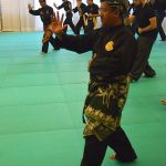 Stage Pencak Silat - Seni Gayung Fatani - 22012017 - Session n°1 (9)