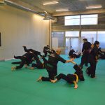 Stage Pencak Silat - Seni Gayung Fatani - 22012017 - Session n°2 (17)