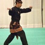 Stage Pencak Silat - Seni Gayung Fatani - 23012017 - Session n°3 (11)