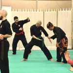 Stage Pencak Silat - Seni Gayung Fatani - 23012017 - Session n°3 (13)