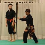 Stage Pencak Silat - Seni Gayung Fatani - 23012017 - Session n°3 (15)