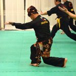 Stage Pencak Silat - Seni Gayung Fatani - 23012017 - Session n°3 (2)