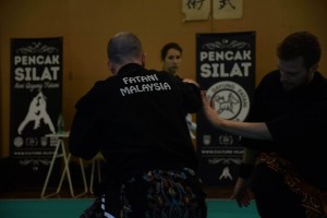 Stage Pencak Silat en France - 2015 (1)