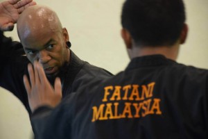 Stage Pencak Silat en France - 2015 (8)