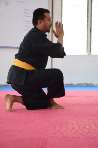 Stage Silat 2017 - Emil (2)