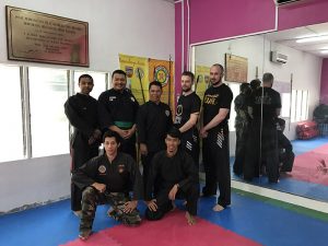 Stage Silat 2017 - Emil (6)