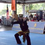 Stage Silat 2017 - Kejohanan (1)