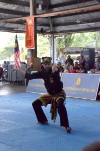 Stage Silat 2017 - Kejohanan (1)