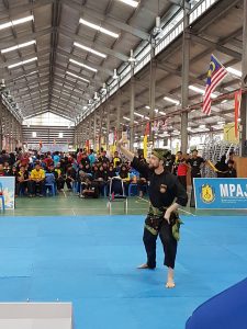 Stage Silat 2017 - Kejohanan (11)