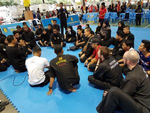 Stage Silat 2017 - Kejohanan (12)