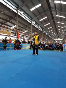 Stage Silat 2017 - Kejohanan (13)